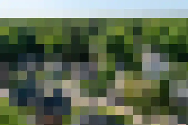 de Geer van Jutfaaslaan 23 Doorn thumbnail 5
