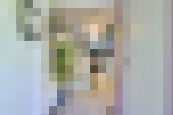 de Geer van Jutfaaslaan 23 Doorn thumbnail 7