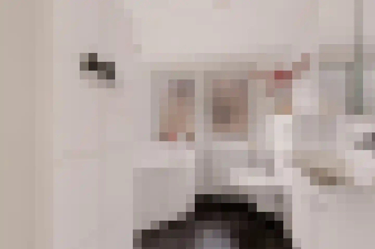 de Geer van Jutfaaslaan 8 Doorn thumbnail 25