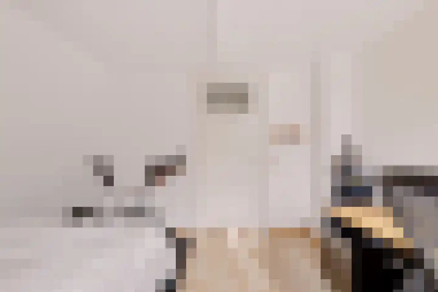 de Geer van Jutfaaslaan 8 Doorn thumbnail 29