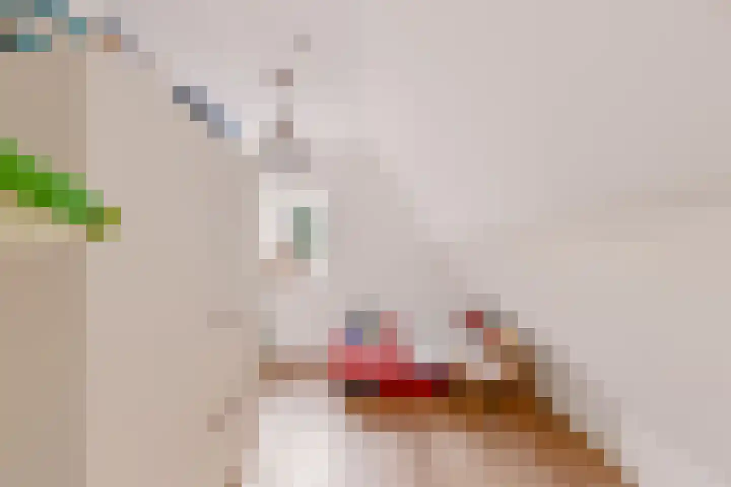 de Geer van Jutfaaslaan 8 Doorn thumbnail 32