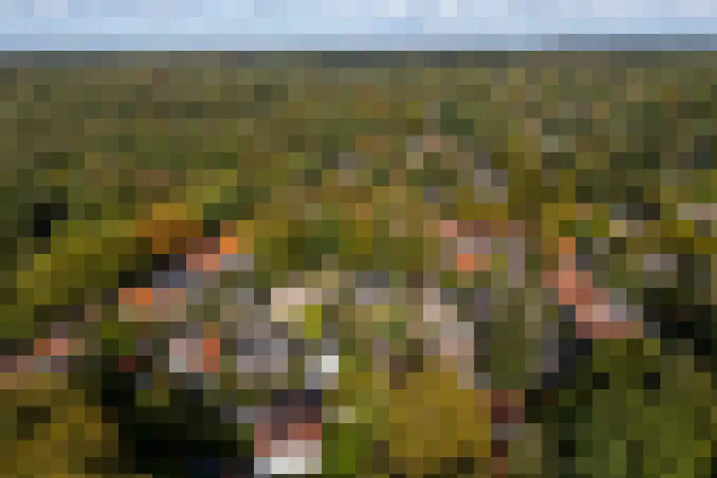 de Geer van Jutfaaslaan 8 Doorn thumbnail 40