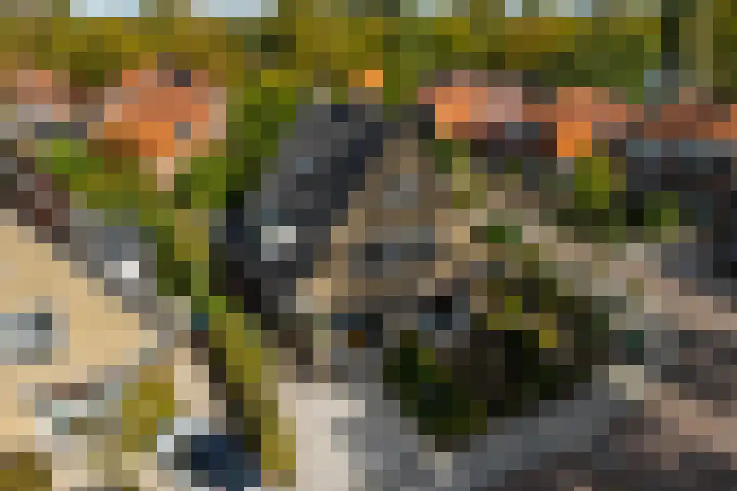 de Geer van Jutfaaslaan 8 Doorn thumbnail 42