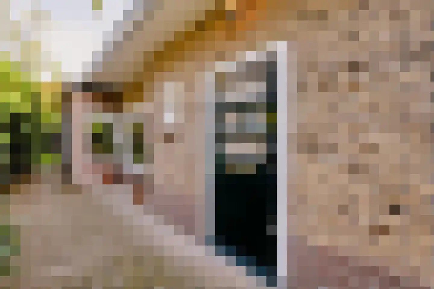 de Geer van Jutfaaslaan 8 Doorn thumbnail 6