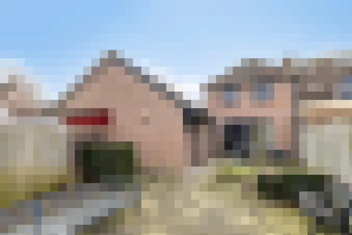 De Geerakkers 20 Liempde thumbnail 10