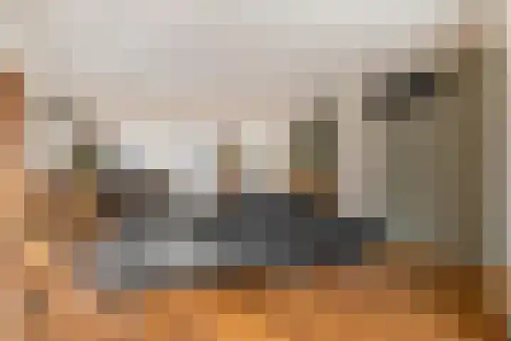 De Geerakkers 20 Liempde thumbnail 11