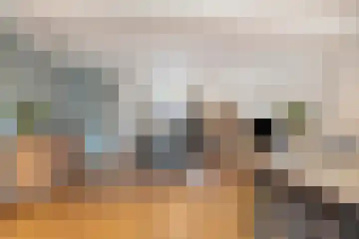 De Geerakkers 20 Liempde thumbnail 15