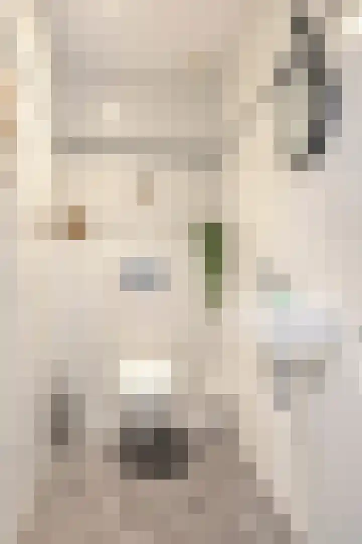 De Geerakkers 20 Liempde thumbnail 21