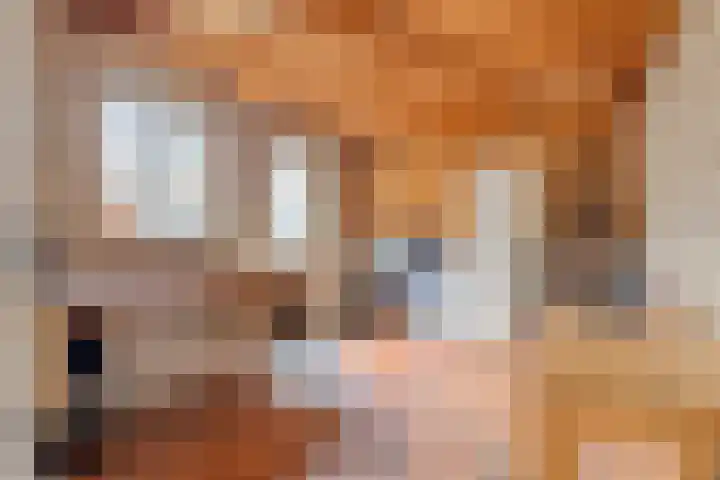 De Geerakkers 20 Liempde thumbnail 22
