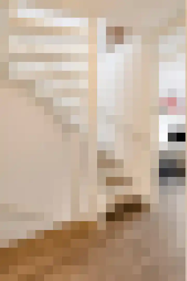 De Geerakkers 20 Liempde thumbnail 24