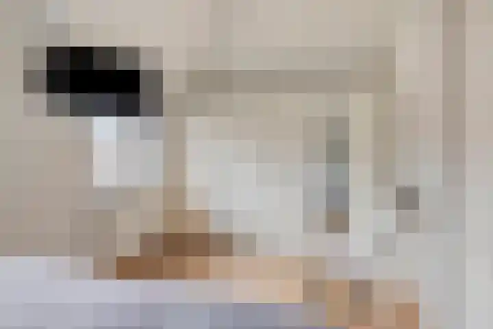 De Geerakkers 20 Liempde thumbnail 30