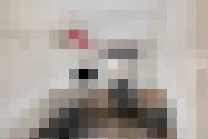 De Geerakkers 20 Liempde thumbnail 31