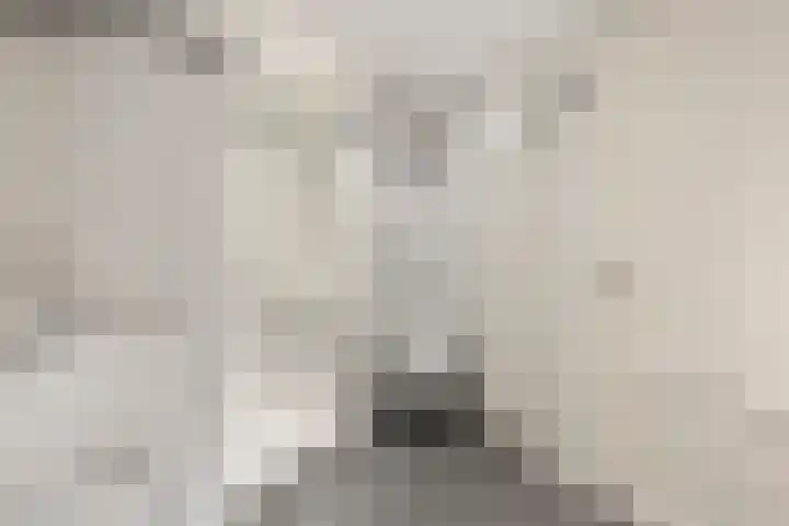 De Geerakkers 20 Liempde thumbnail 33