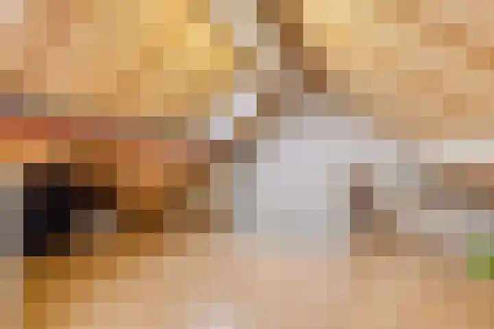 De Geerakkers 20 Liempde thumbnail 36