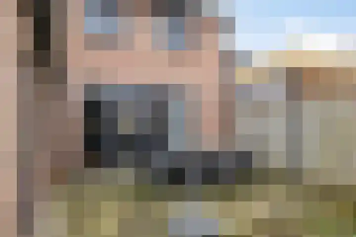De Geerakkers 20 Liempde thumbnail 38