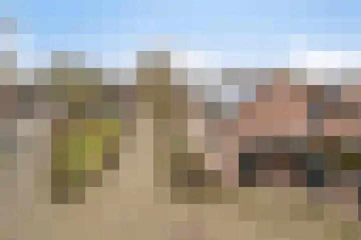 De Geerakkers 20 Liempde thumbnail 49