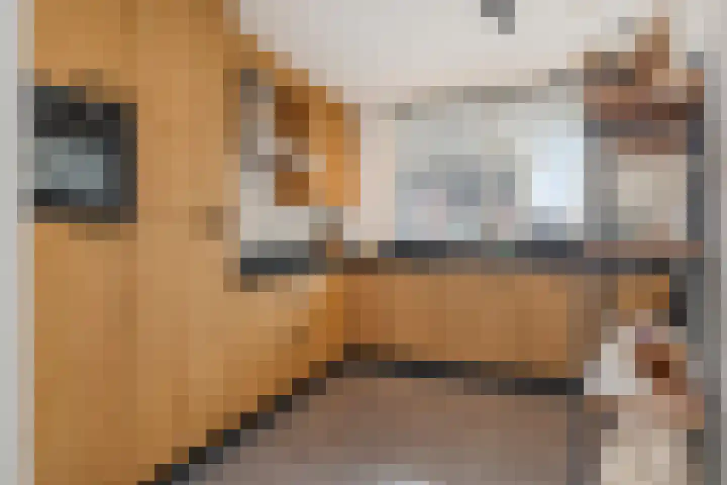 De Geerakkers 20 Liempde thumbnail 5