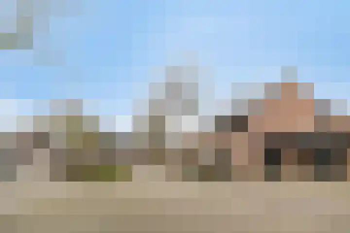 De Geerakkers 20 Liempde thumbnail 7