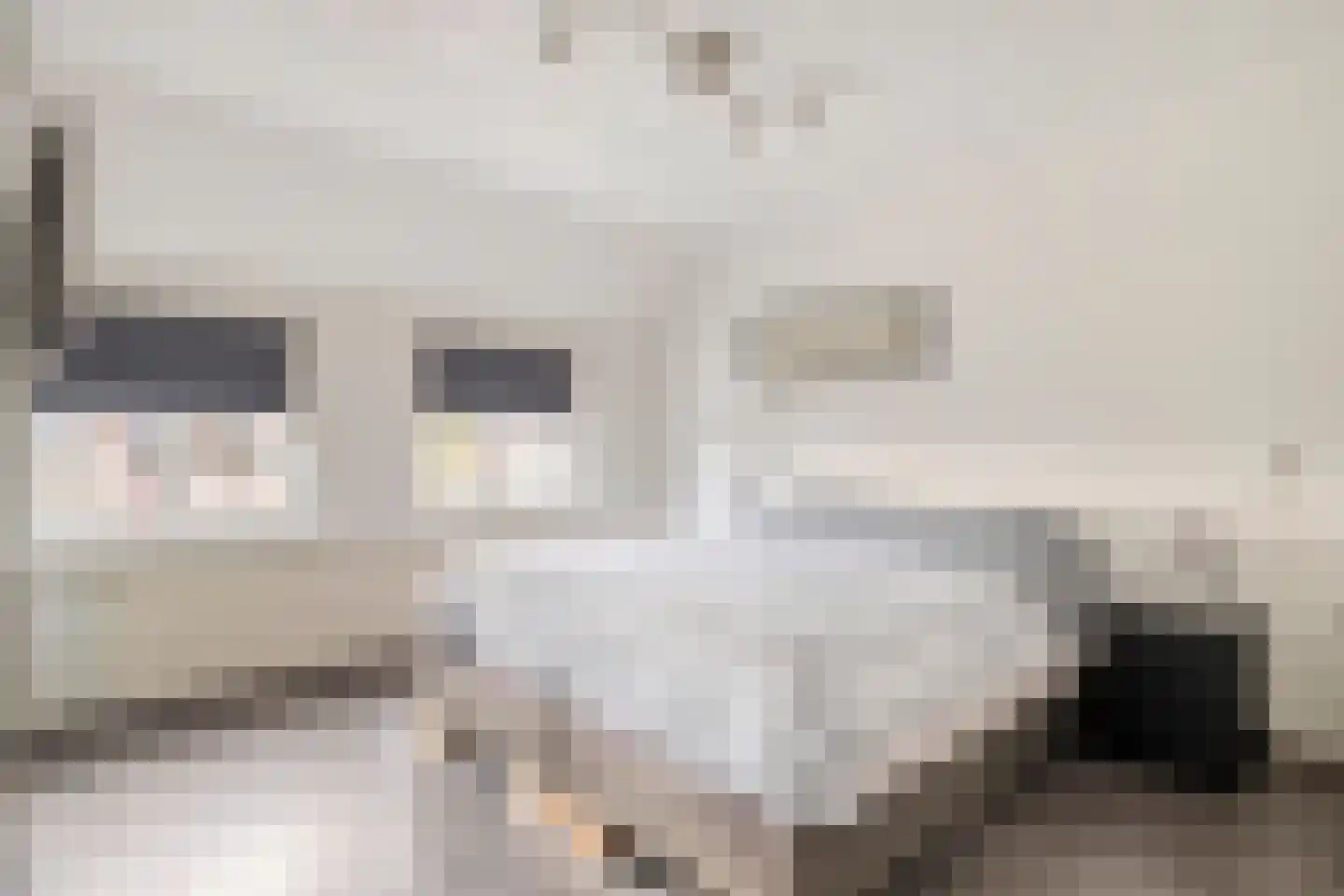 De Geerakkers 20 Liempde thumbnail 8