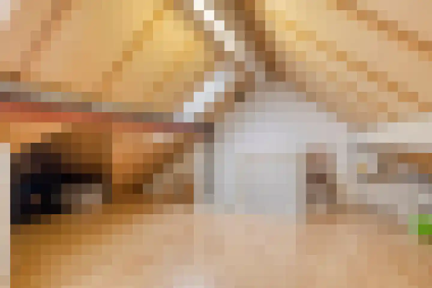 De Geerakkers 20 Liempde thumbnail 9