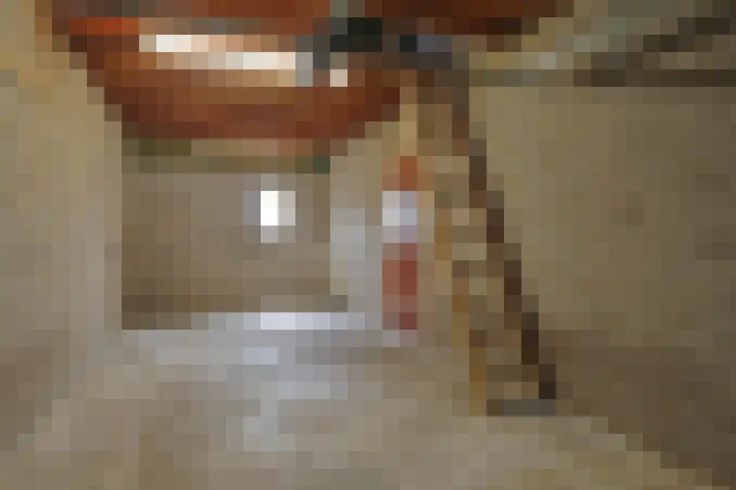 De Geerakkers 25 Liempde thumbnail 16