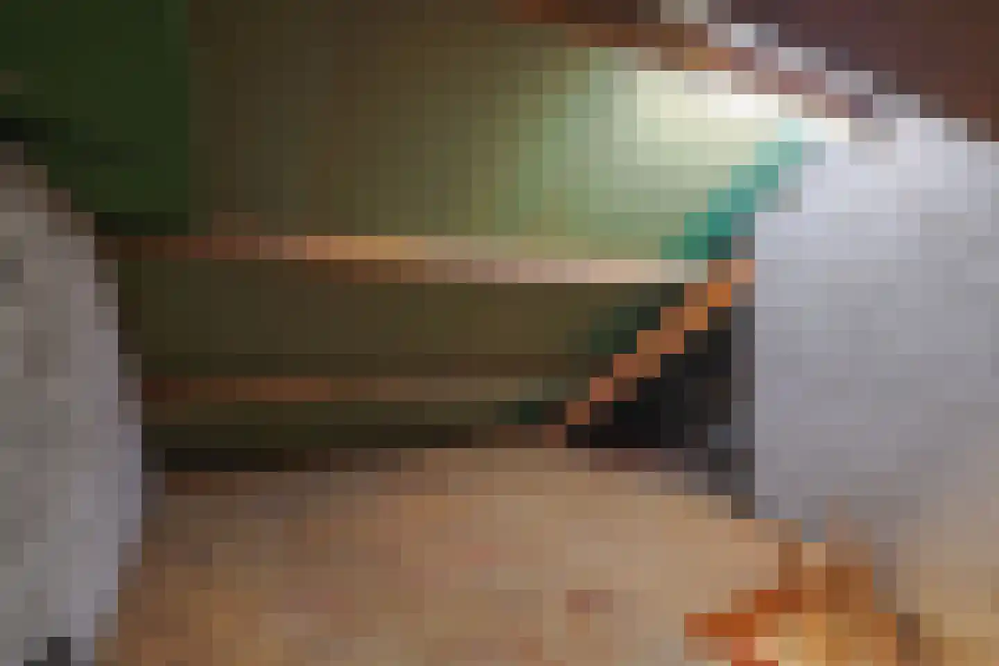 De Geerakkers 25 Liempde thumbnail 17