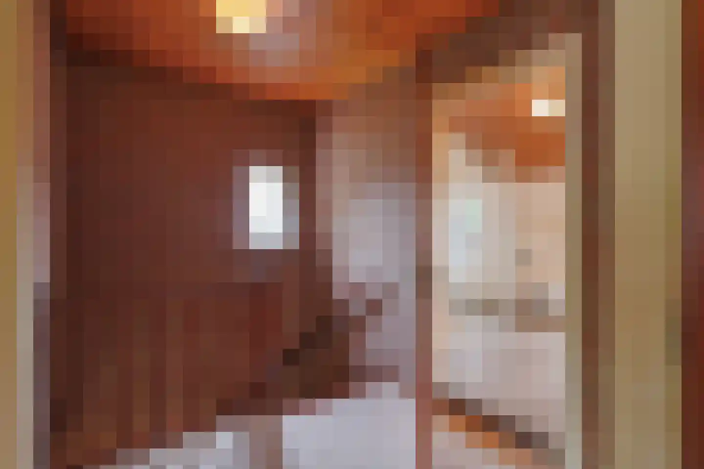 De Geerakkers 25 Liempde thumbnail 35