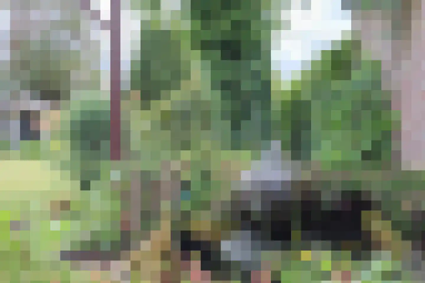 De Geerakkers 25 Liempde thumbnail 39