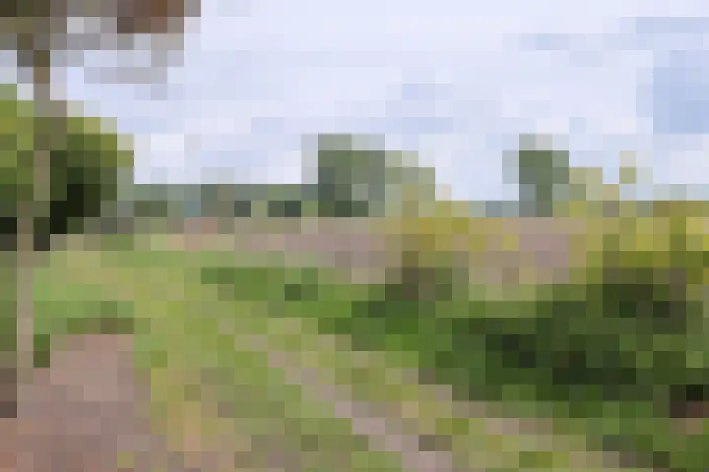 De Geerakkers 25 Liempde thumbnail 4