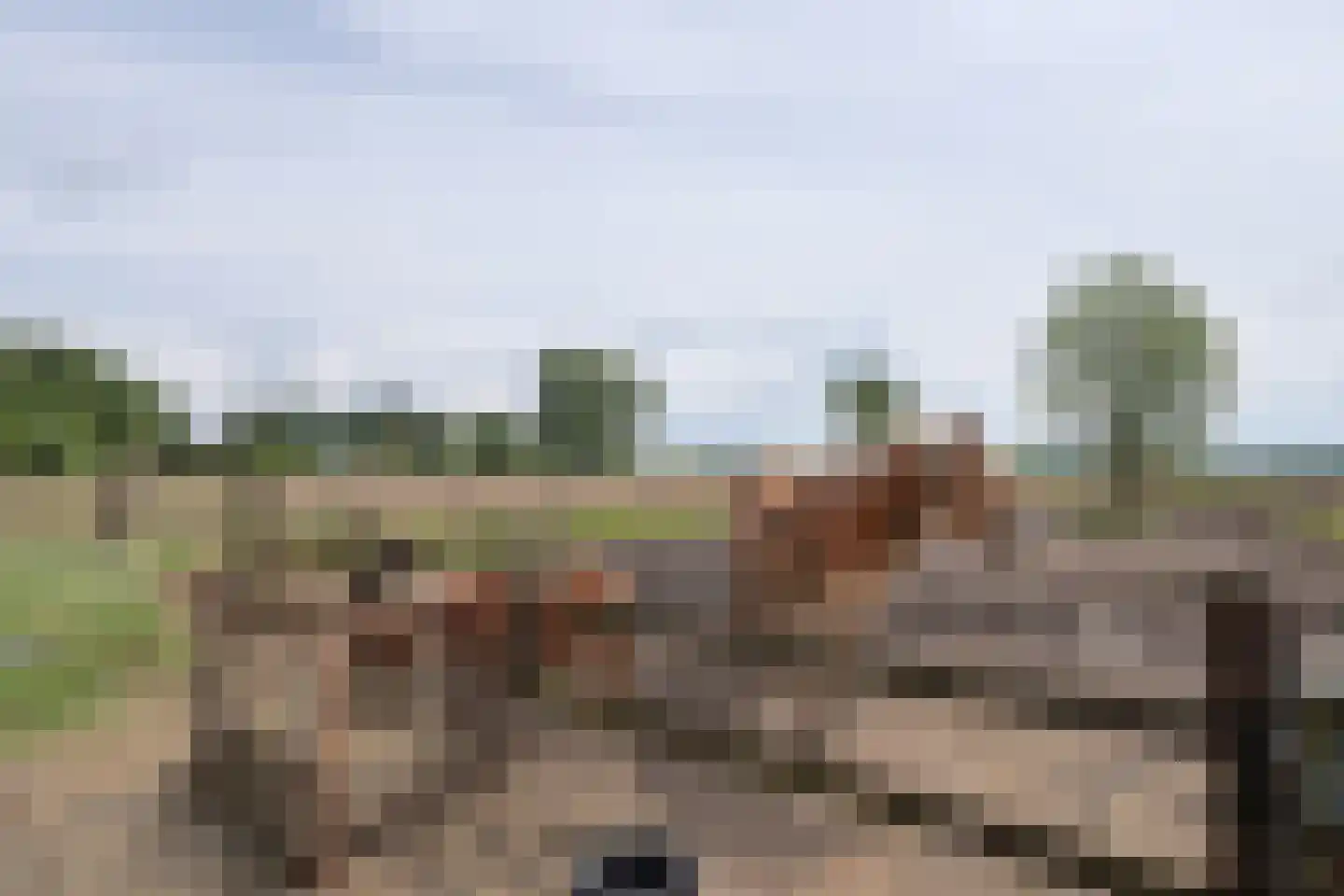 De Geerakkers 25 Liempde thumbnail 45