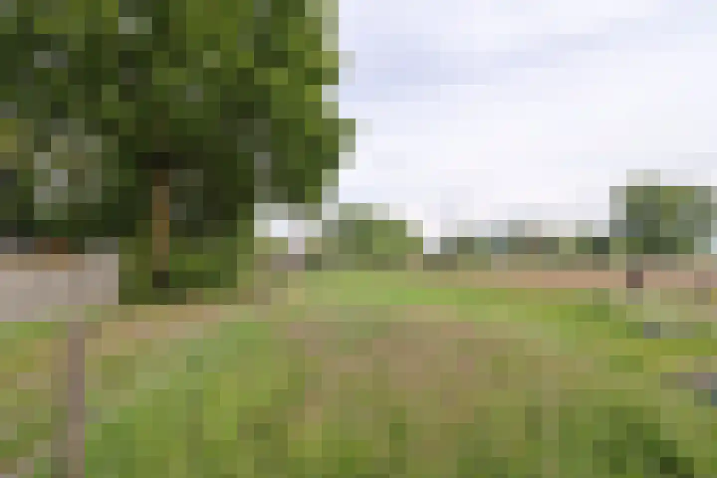 De Geerakkers 25 Liempde thumbnail 46