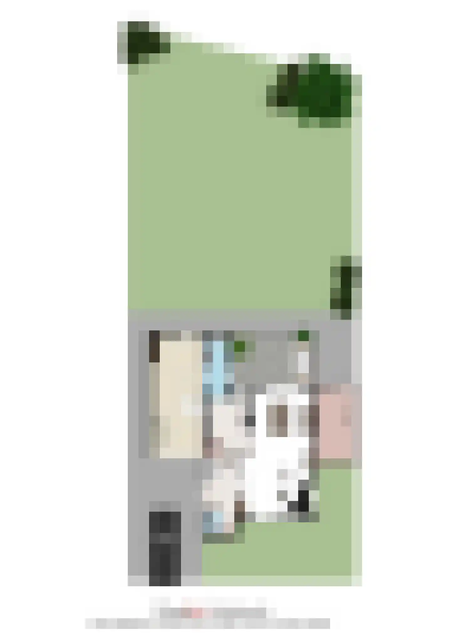 De Geerakkers 25 Liempde thumbnail 54