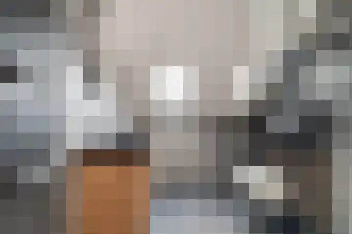 De Geerakkers 29 Liempde thumbnail 18