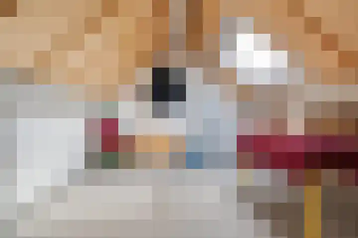 De Geerakkers 29 Liempde thumbnail 21