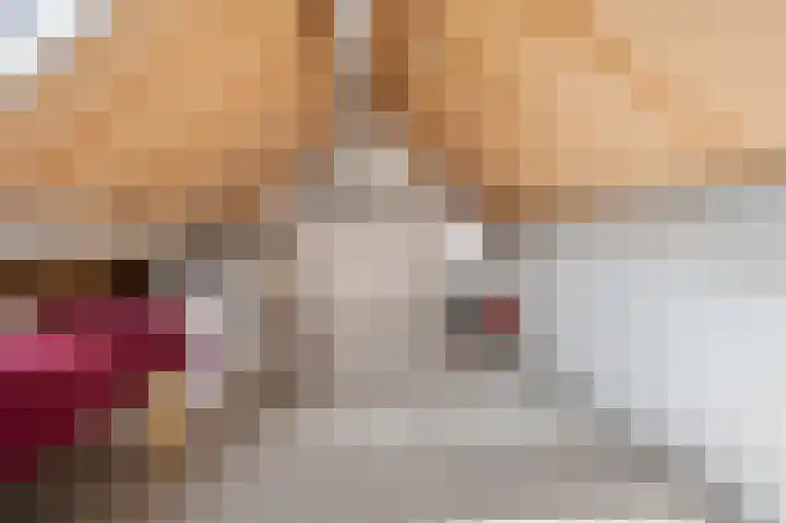 De Geerakkers 29 Liempde thumbnail 22