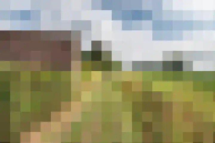 De Geerakkers 29 Liempde thumbnail 25