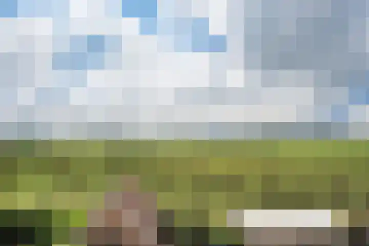 De Geerakkers 29 Liempde thumbnail 26