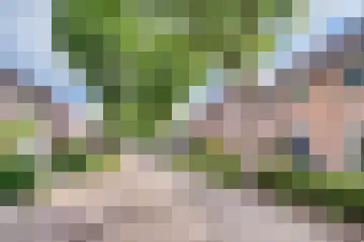 De Geerakkers 29 Liempde thumbnail 28