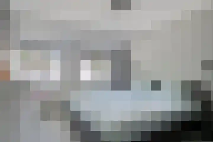 De Geerakkers 35 Liempde thumbnail 12