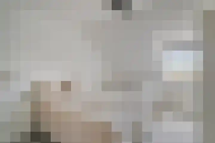 De Geerakkers 35 Liempde thumbnail 13