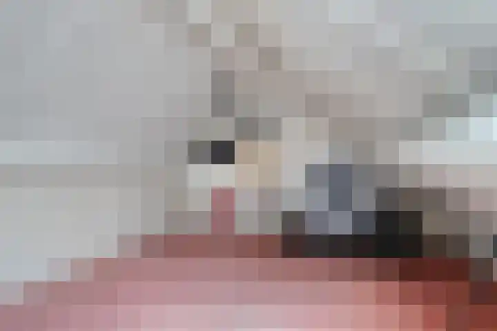 De Geerakkers 35 Liempde thumbnail 17