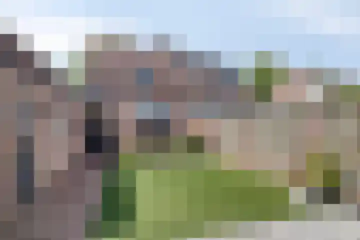 De Geerakkers 35 Liempde thumbnail 19