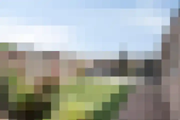 De Geerakkers 35 Liempde thumbnail 21