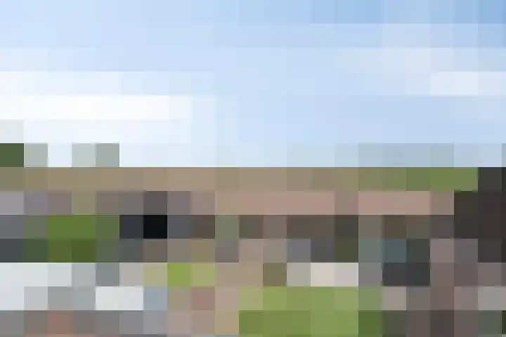 De Geerakkers 35 Liempde thumbnail 23