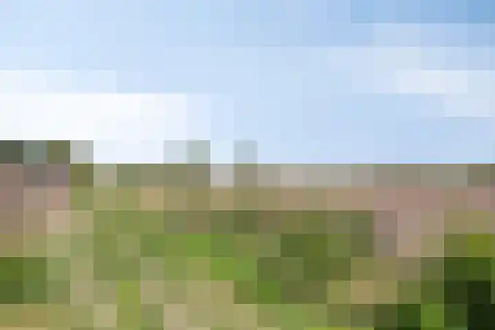 De Geerakkers 35 Liempde thumbnail 24