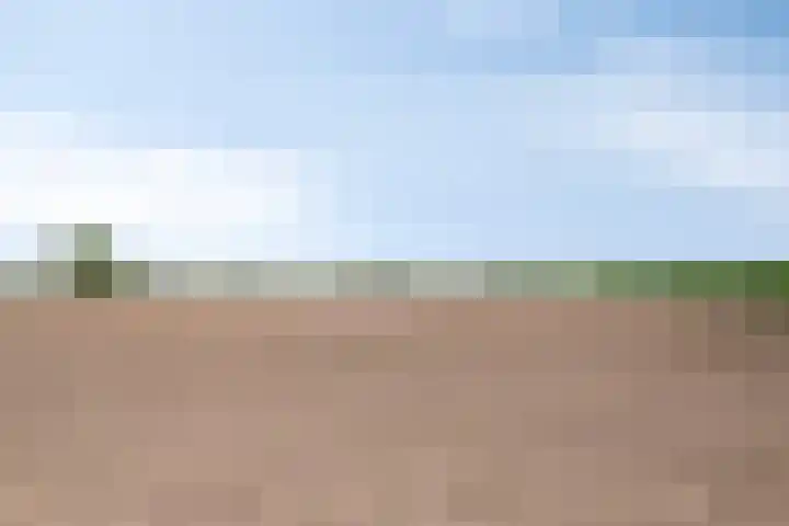 De Geerakkers 35 Liempde thumbnail 25
