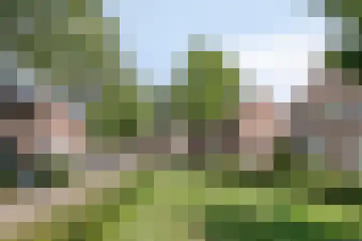 De Geerakkers 35 Liempde thumbnail 26