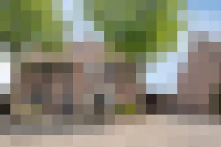 De Geerakkers 35 Liempde thumbnail 27