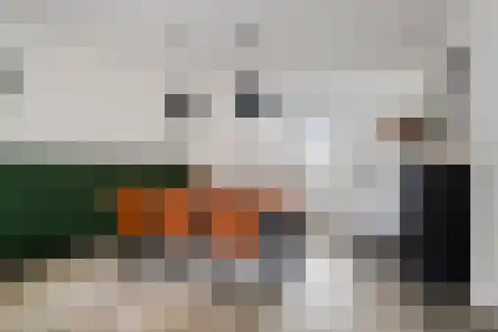 De Geerakkers 35 Liempde thumbnail 6