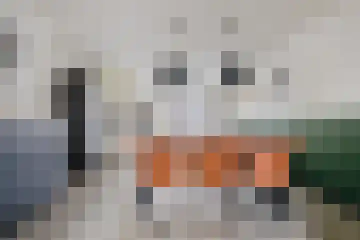 De Geerakkers 35 Liempde thumbnail 7